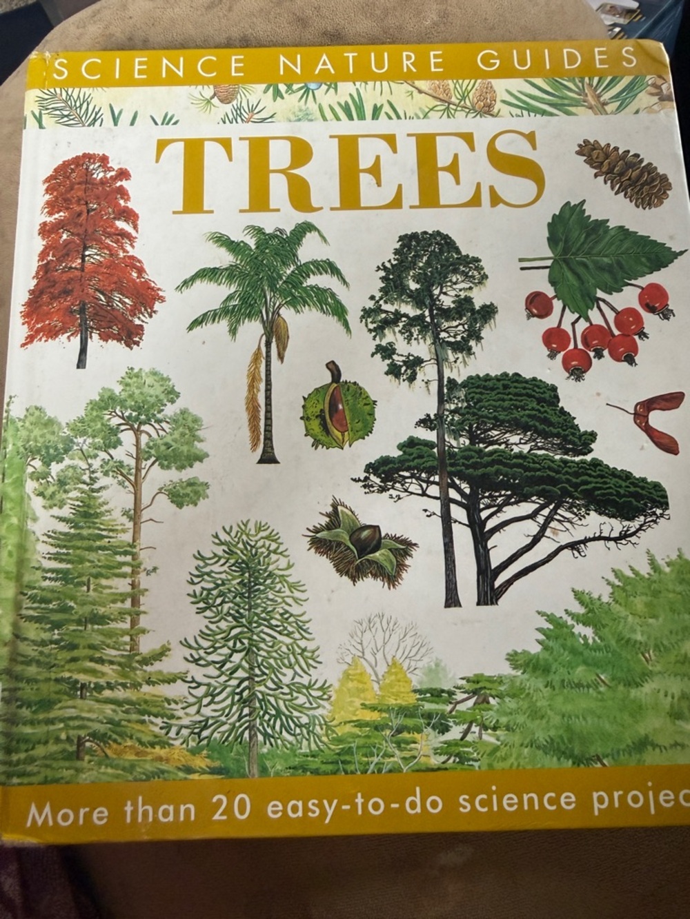 Trees Science Nature Guides Hardcover Book - Yellow & Green Cover